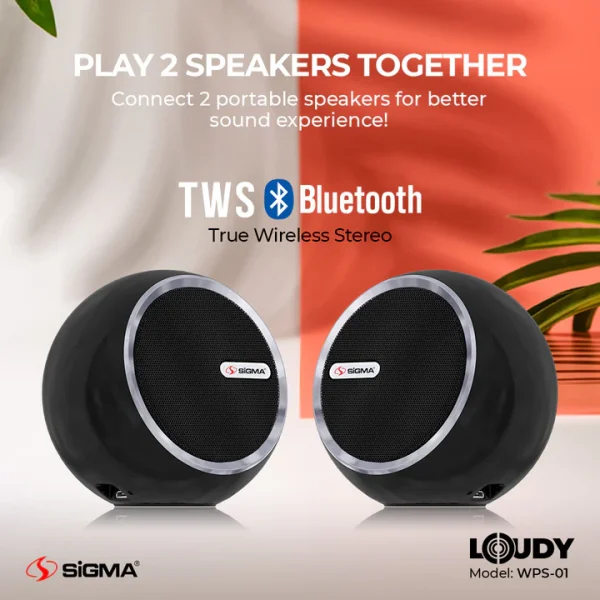 Loudy Portable Speaker WPS-01 (Pair)
