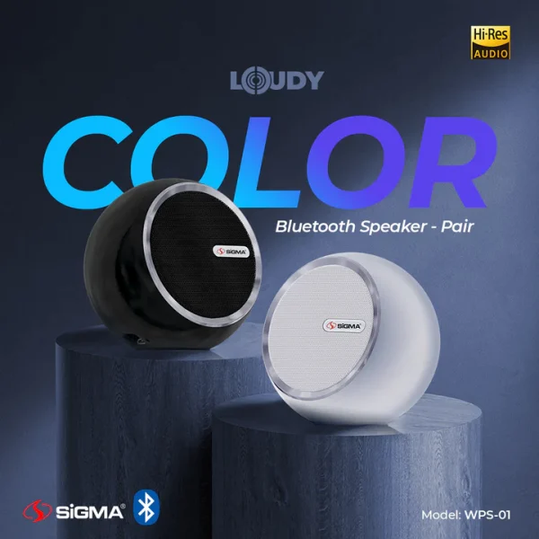Loudy Portable Speaker WPS-01 (Pair)